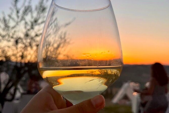 Balestrate:Olive Grove Tour& Tasting of Wine, Olive Oil, Balsamic - Logistics and Meeting Details