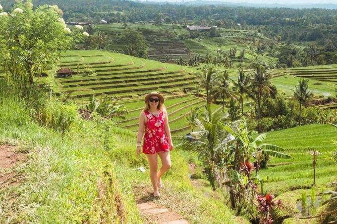 Bali: 1-Day Tour Ulun Danu Temple, Jatiluwih, and Tanah Lot - Important Information