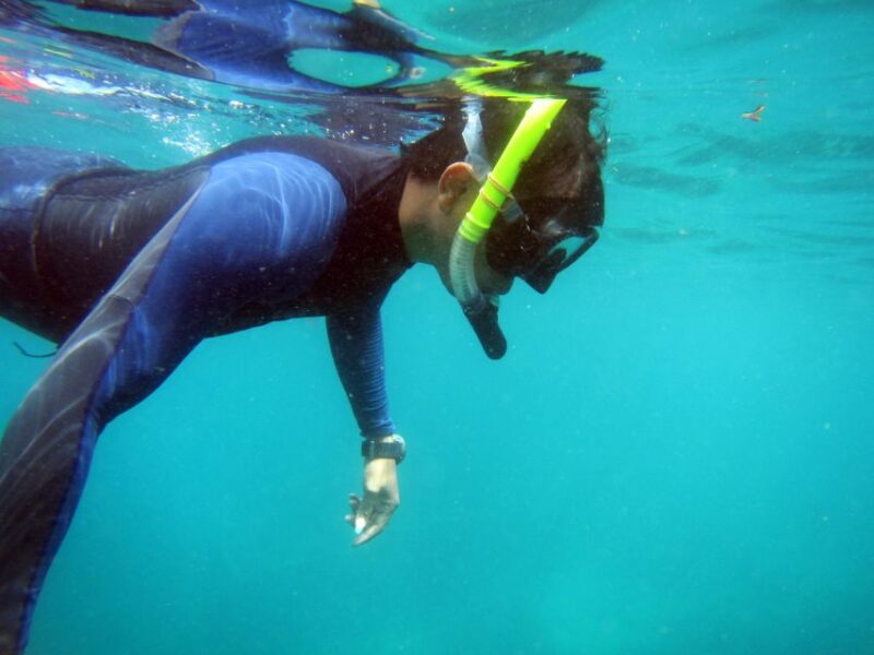 Bali: 1 Hour Snorkeling at Nusa Dua Beach - Price and Cancellation