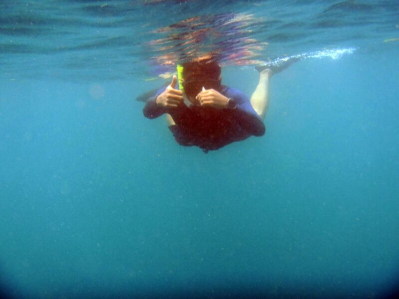 Bali: 1 Hour Snorkeling at Nusa Dua Beach - Snorkeling Experience