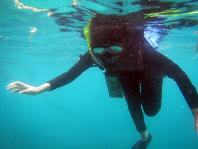 Bali: 1 Hour Snorkeling at Nusa Dua Beach - Frequently Asked Questions