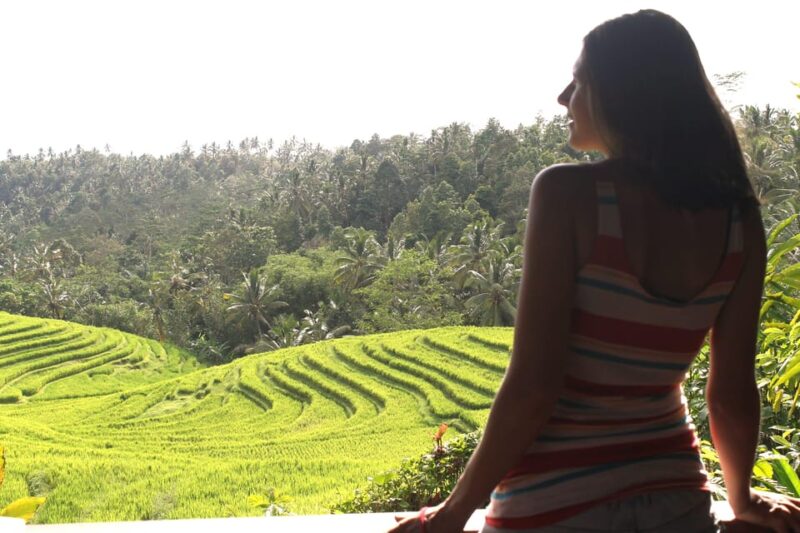 Bali: 2-Day Food Tour With Cooking Class and Market Visit - Accommodations and Transport