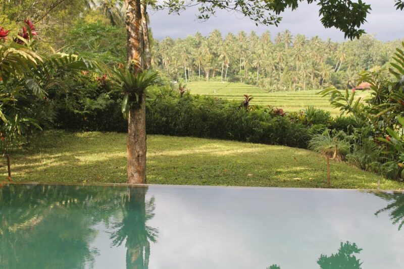 Bali: 2-Day Food Tour With Cooking Class and Market Visit - Included Experiences