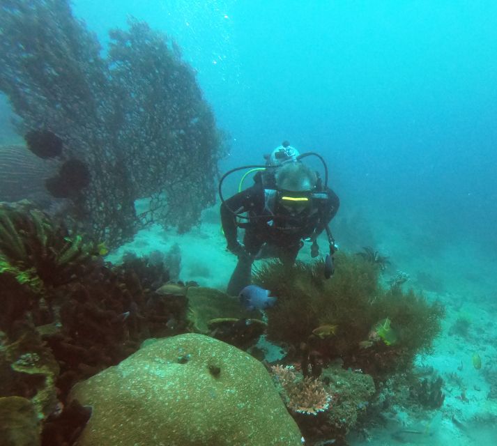 Bali: 2-Day PADI Advanced Open Water Course - Inclusions