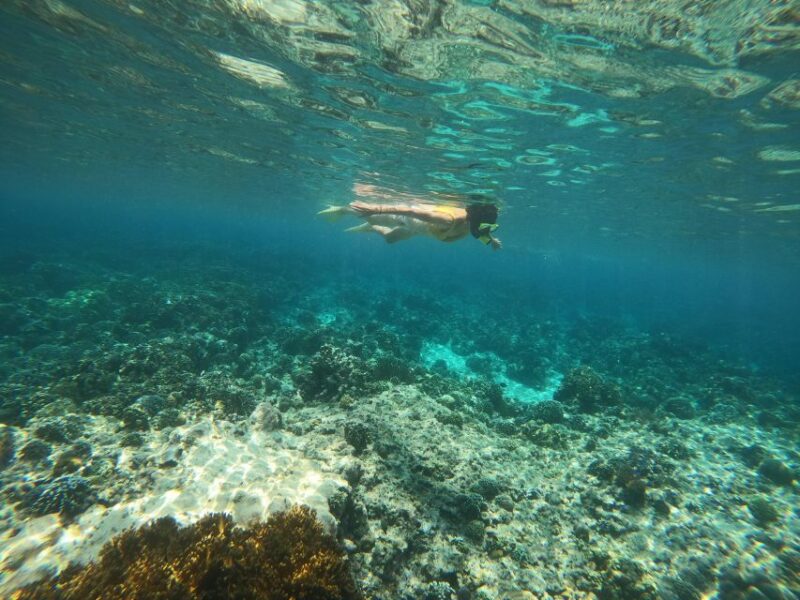 Bali: 2 Spot Snorkeling, The Monkey Bar & Best Waterfalls - Key Points