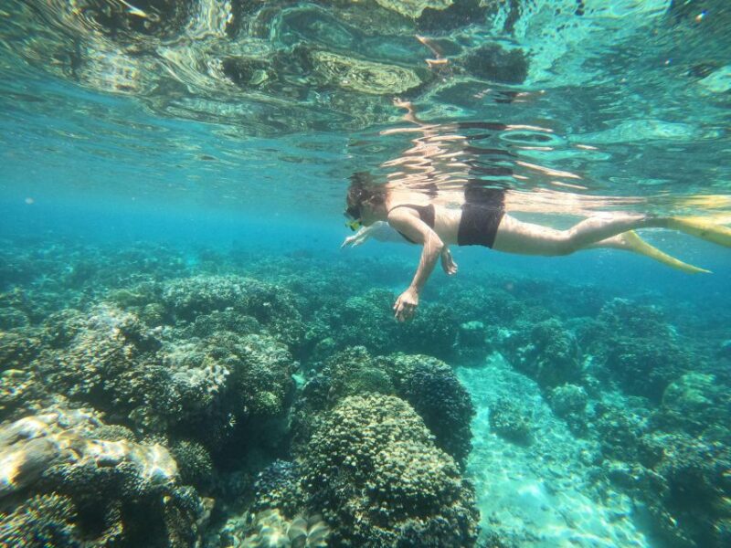 Bali: 2 Spot Snorkeling, The Monkey Bar & Best Waterfalls - Customer Ratings and Highlights