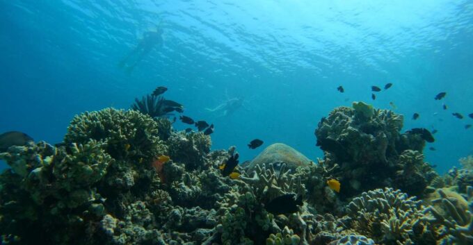 Bali: 2 Spot Snorkeling, The Monkey Bar & Best Waterfalls - Cancellation Policy and Duration