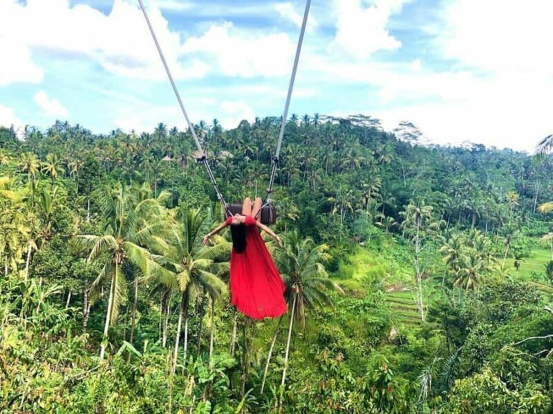 Bali: 3-Day Honeymoon Tour W/Private Car & Customize Tour - The Sum Up