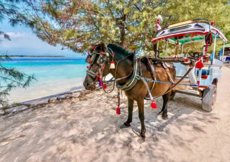 Bali: 3-Day Private Gili Islands Snorkel Tour With Hotel - Accommodation Options