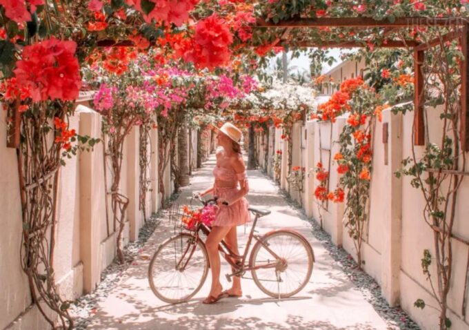 Bali: 3-Day Private Gili Islands Snorkel Tour With Hotel - Frequently Asked Questions