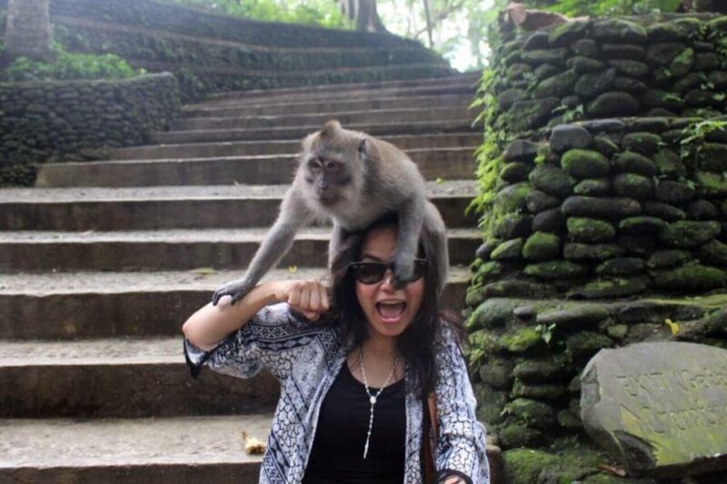 Bali: 3-Day Private Tour With Temples, Waterfalls & More - Daily Itinerary Highlights