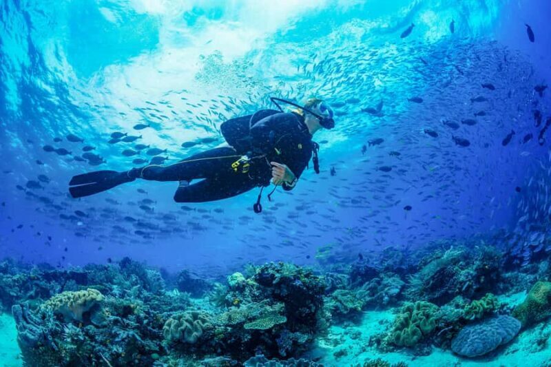 Bali: 3-Days PADI Open Water Diving Course - Key Points