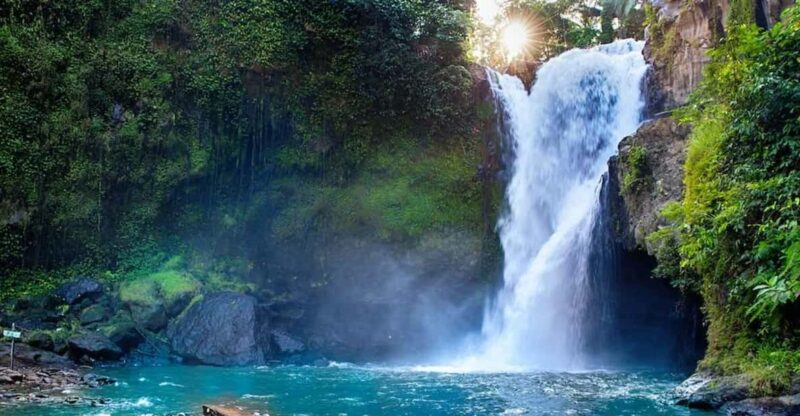 Bali: 4 Hours Customize Ubud City Tour. - Key Points