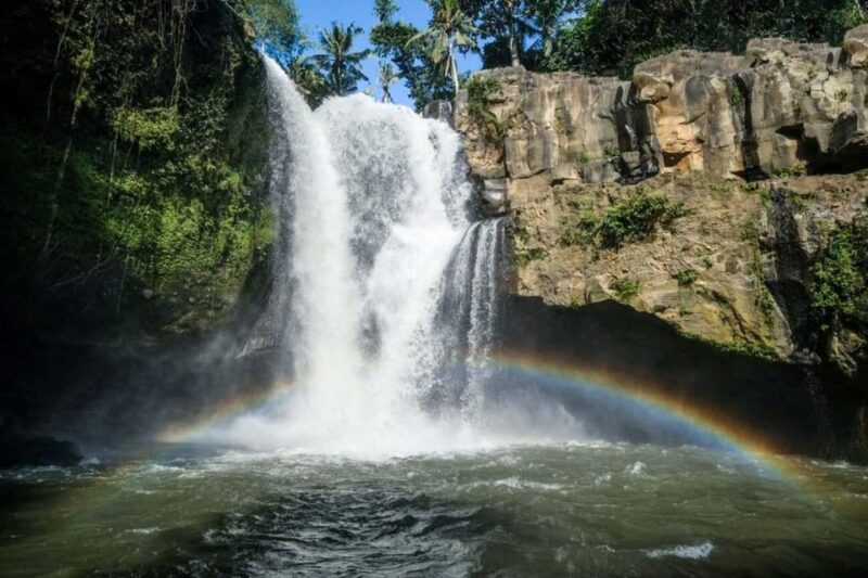 Bali: 4 Hours Customize Ubud City Tour. - Itinerary Highlights