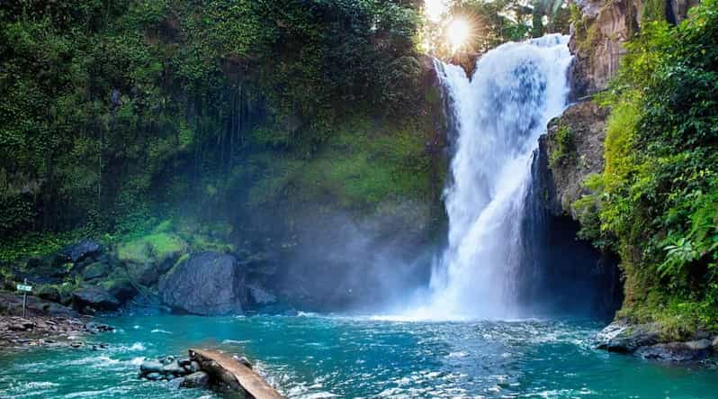 Bali: 4 Hours Customize Ubud City Tour. - Important Information