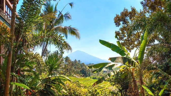 Bali 4WD Adventure WakaLand UNESCO Jatiluwih Trip in Bali Outback - Key Points