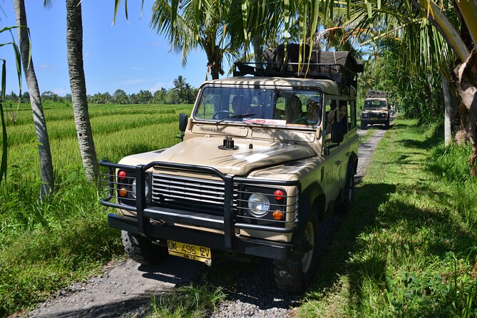 Bali 4WD Adventure WakaLand UNESCO Jatiluwih Trip in Bali Outback - Customer Testimonials and Insights