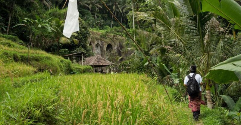 Bali: 6-Hour UNESCO Sites Cultural Walking Tour - Itinerary Highlights