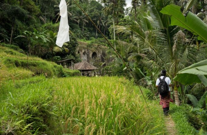 Bali: 6-Hour UNESCO Sites Cultural Walking Tour - Exploring Pakerisan River