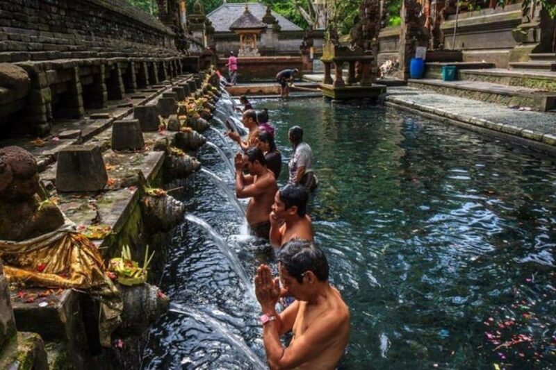 Bali: 6 Hours Customize Ubud Private Car Charter With Driver - Customer Feedback and Ratings