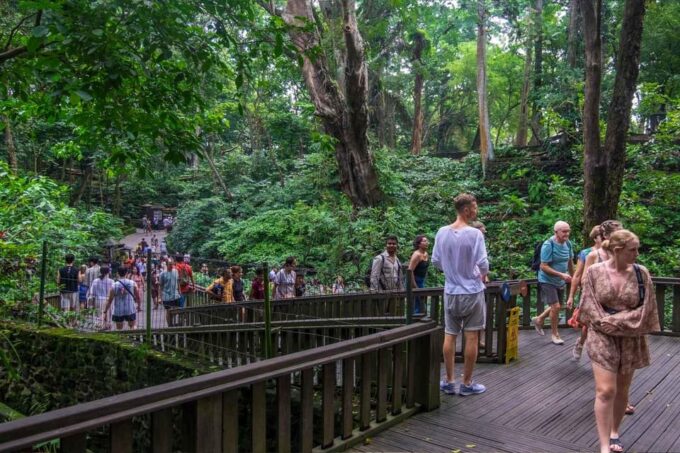 Bali: 6 Hours Customize Ubud Private Car Charter With Driver - Ubud Art Villages and Art Museums