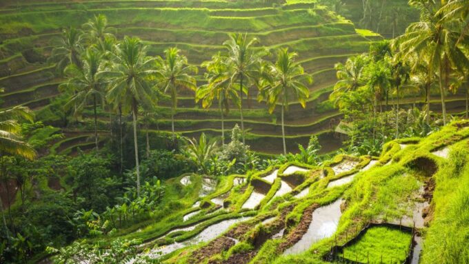 Bali: 8-Hour Ubud Highlights & Tanah Lot Temple Sunset Trip - Optional Add-Ons