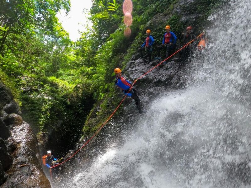 Bali: Alam Canyon The Natural Canyoning Adventure - Highlights of the Experience