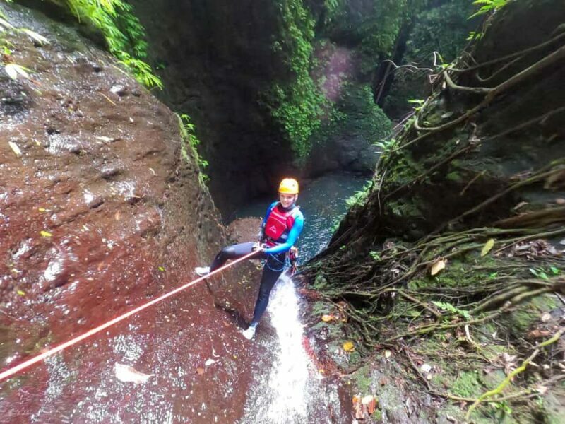Bali: Aling Canyon Canyoning Tour - Highlighted Features and Activities