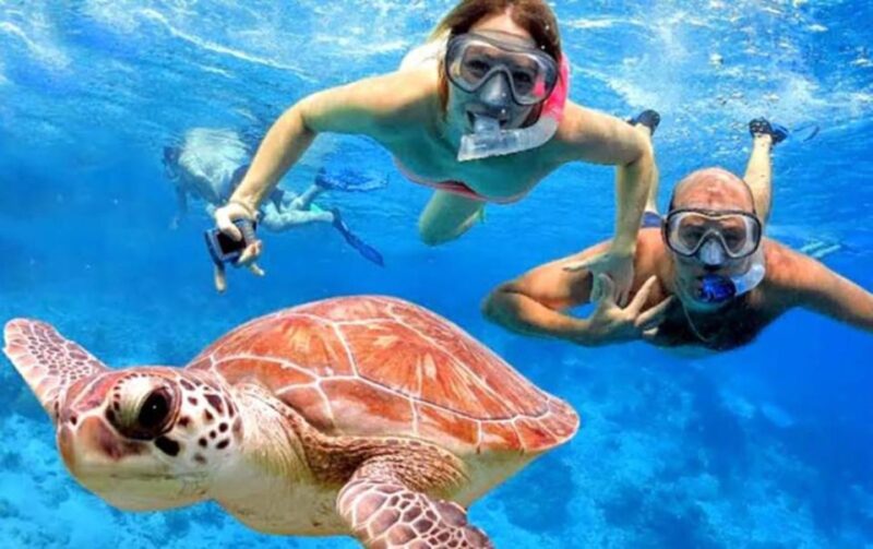 Bali: All-Inclusive Blue Lagoon Snorkeling & Waterfall Tour - Itinerary and Experience