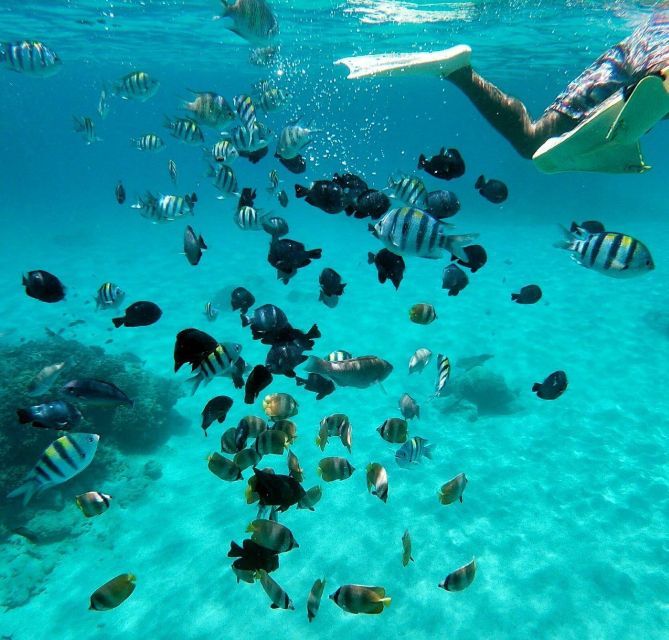 Bali: All-Inclusive Blue Lagoon Snorkeling & Waterfall Tour - Inclusions and Amenities