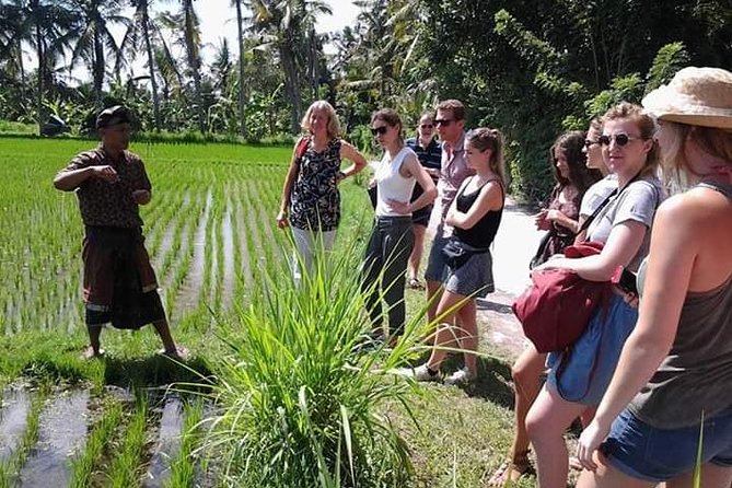Bali Amazing Cooking Class - Pricing and Lowest Price Guarantee