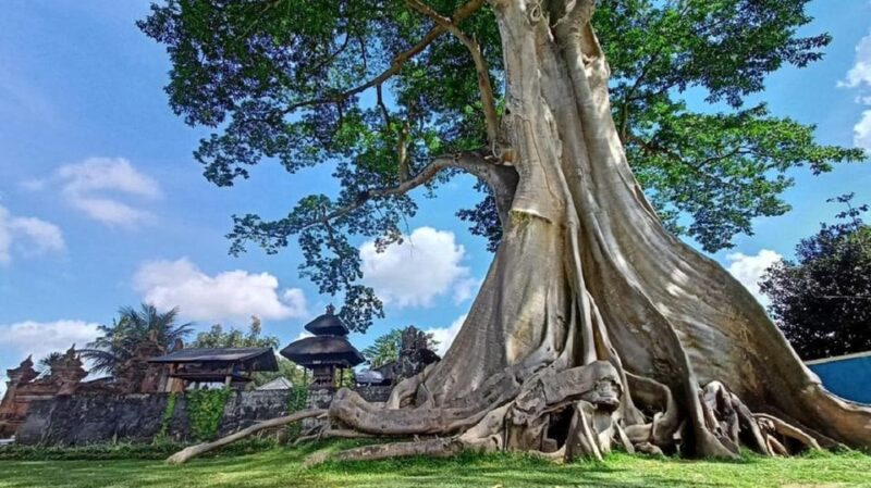 Bali : Amazing Hidden Gems in Bali Nature, Temple & Watefall - Itinerary Highlights