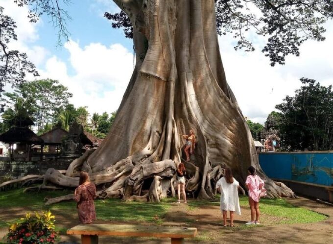 Bali : Amazing Hidden Gems in Bali Nature, Temple & Watefall - Frequently Asked Questions