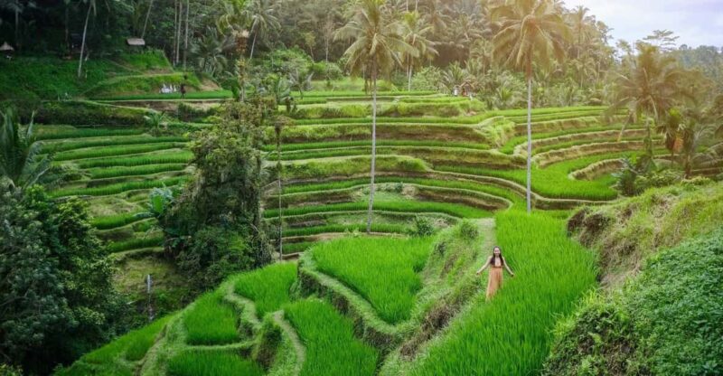 BALI : Amazing Private Tour in Ubud - Itinerary Highlights