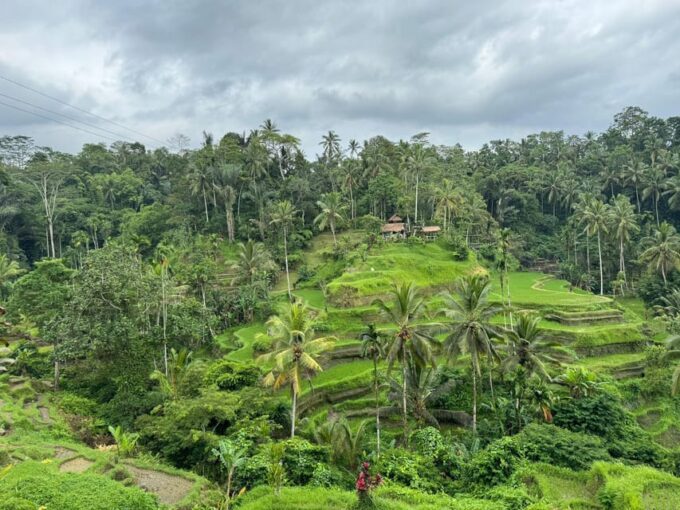 BALI : Amazing Private Tour in Ubud - Recap