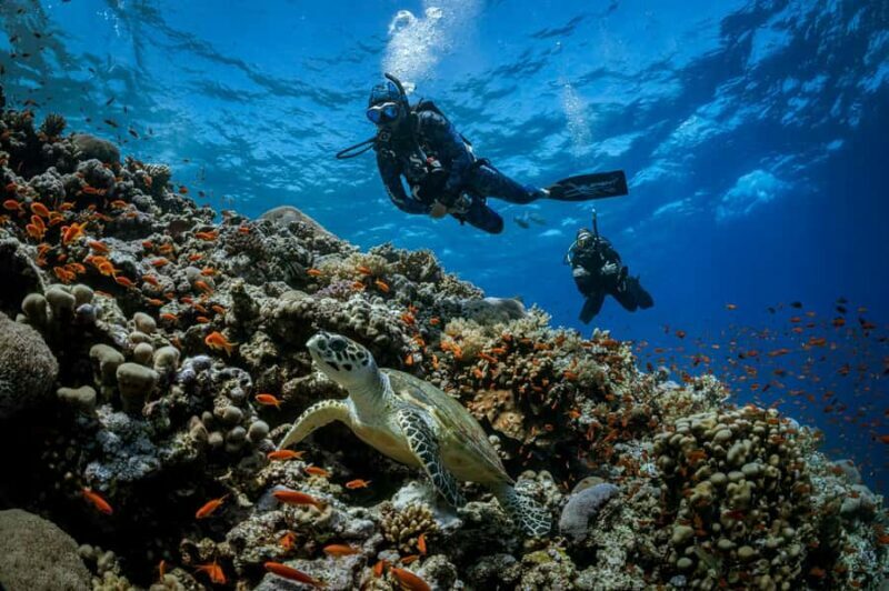 Bali, Amed: Advanced Open Water Course with Kayak Adventure - Who Should Consider This Course?