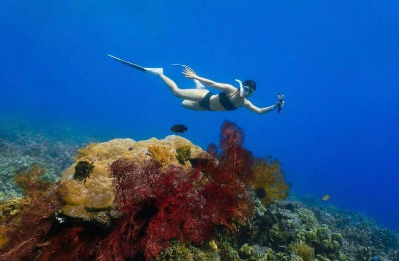 Bali: Amed, Jemeluk & Lipah Beach Snorkeling Adventure - Snorkeling Experience Highlights