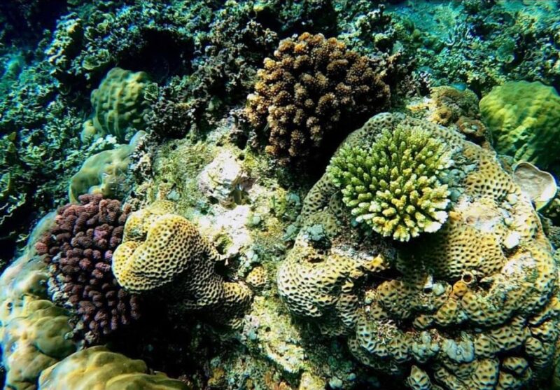 Bali: Amed, Jemeluk & Lipah Beach Snorkeling Adventure - Exploring Jemeluk Bays Wonders