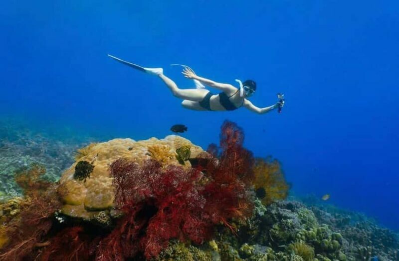 Bali/Amed: Underwater Temple Snorkeling Experience - The Underwater Wonders of Amed