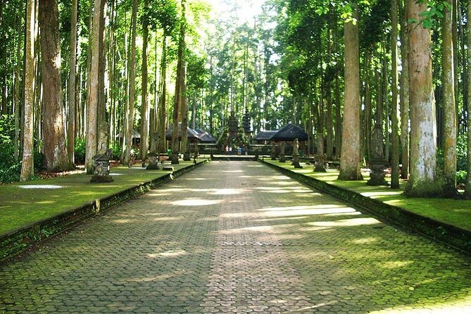 Bali ATV Combined With Mumbul Lake and Sangeh Monkey Forest - Additional Information for Travelers
