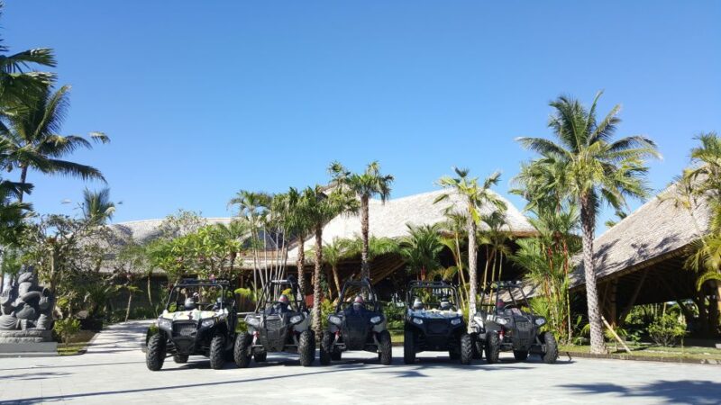 Bali: ATV Mason Jungle Buggy Adventure With Lunch & Transfer - Key Points