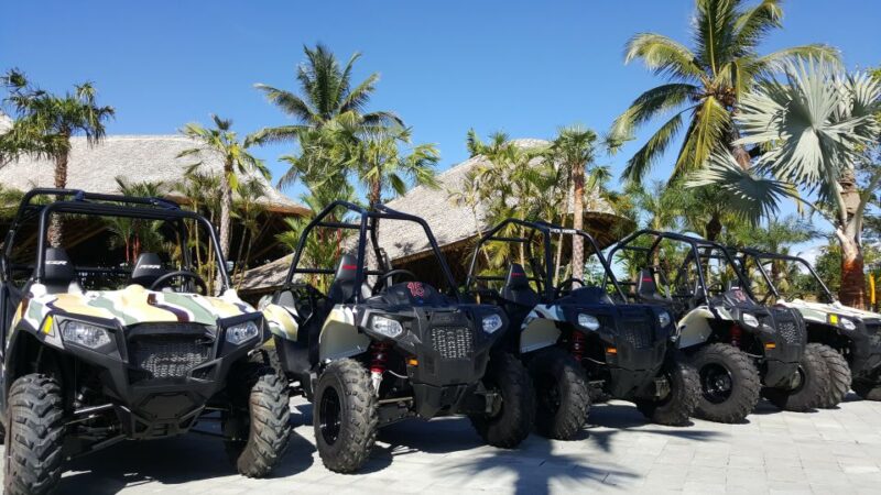 Bali: ATV Mason Jungle Buggy Adventure With Lunch & Transfer - Thrilling Jungle Buggy Drive