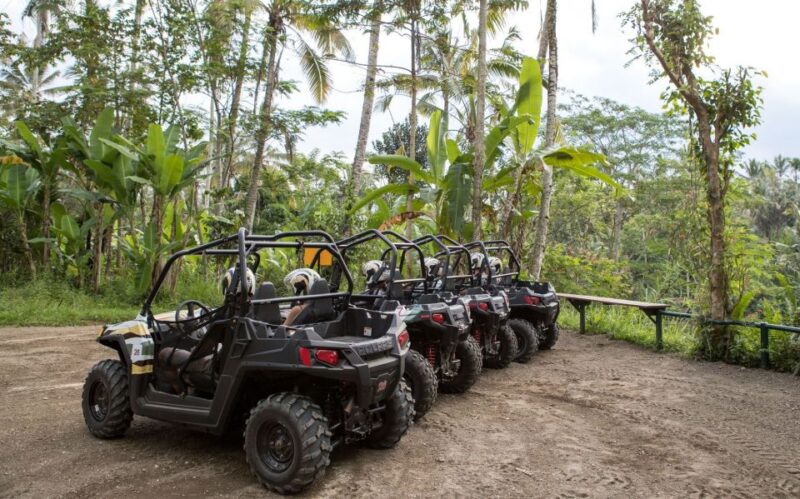 Bali: ATV Mason Jungle Buggy Adventure With Lunch & Transfer - Purpose-Built ATV Adventure Track