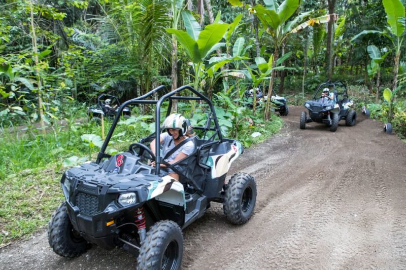 Bali: ATV Mason Jungle Buggy Adventure With Lunch & Transfer - Relaxing Pool With Rice Paddy Views