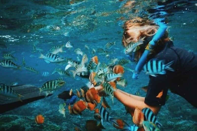 Bali: ATV - Quad Bike Adventure and Blue Lagoon Snorkeling - Itinerary Details