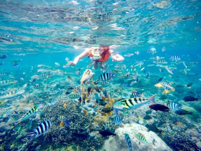 Bali: ATV - Quad Bike Adventure and Blue Lagoon Snorkeling - Customer Feedback