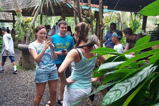 Bali ATV Quad Bike and Kintamani Volcano Tour - Inclusions and Logistics