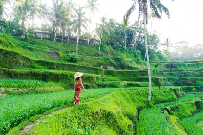 Bali: ATV Quad Bike - Water Temple and Rice Terrace - Frequently Asked Questions