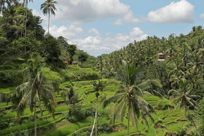 Bali ATV Quad Bike With Kintamani Volcano and Ubud Tour - Ubud Palace and Markets