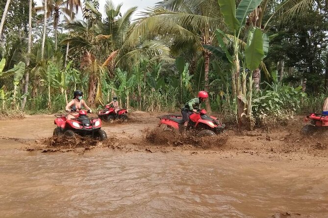 Bali ATV Quadbike Through Gorilla Face Cave - Transportation Details